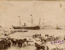 La Habana (Cuba), barco español entrando al puerto, caballos en la playa, detrás el Faro y el Castillo del Morro. Fotógrafo desconocido.