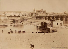 Córdoba, Puente romano sobre el río Guadalquivir y ruinas de tres molinos. Garzón fotógrafo.