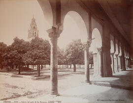 Córdoba, Mezquita, galería en el Patio de los Naranjos. J. Laurent y Cia. Madrid.