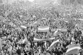 Manifestación por la autonomía de Andalucía. 1977-12-04. Málaga, España. 2.4. Manifestación.