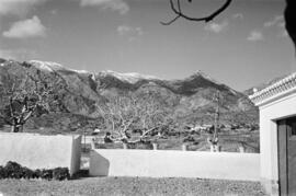 Pico del Juanar en Marbella. Febrero de 1954. Málaga. España.