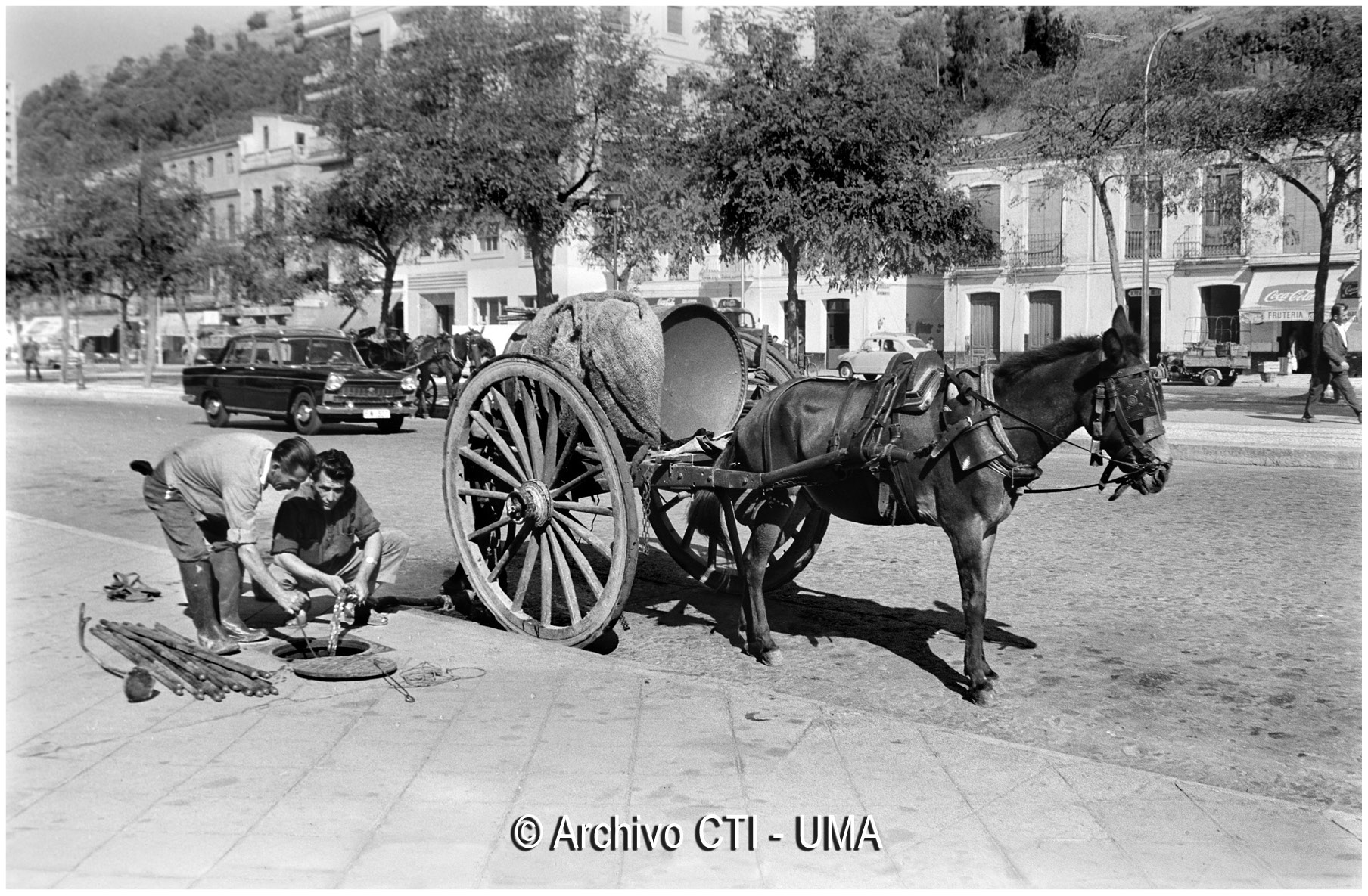Málaga 1963. Operarios municipales en el paseo de Reding