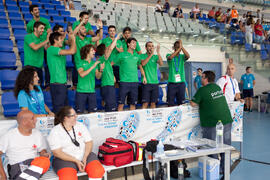 Asistentes al partido Brasil contra Portugal. 14º Campeonato del Mundo Universitario de Fútbol Sala 2014 (FUTSAL). Antequera. Julio de 2014