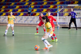 Partido Brasil contra Rusia. 14º Campeonato del Mundo Universitario de Fútbol Sala 2014 (FUTSAL). Antequera. Julio de 2014