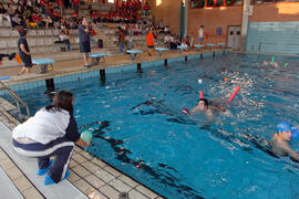 Taller de Intervención en el Medio Acuático. 3º Congreso Internacional de Actividad Físico-Deportiva para Mayores de la Universidad de Málaga. Palacio de Ferias y Congresos de Málaga. Marzo de 2009
