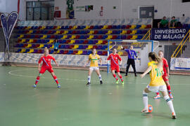 Partido Brasil contra Rusia. 14º Campeonato del Mundo Universitario de Fútbol Sala 2014 (FUTSAL). Antequera. Julio de 2014