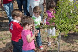 Incorporación de nuevos árboles al "Bosque del Conocimiento" en el Campus de Teatinos d...