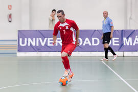 Partido Irán contra Alemania. 14º Campeonato del Mundo Universitario de Fútbol Sala 2014 (FUTSAL). Antequera. Julio de 2014