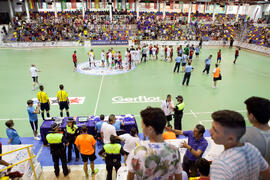 Saludo final. Partido España contra Bielorrusia. 14º Campeonato del Mundo Universitario de Fútbol Sala 2014 (FUTSAL). Antequera. Julio de 2014