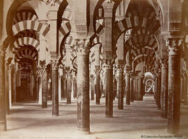 Córdoba, vista del interior de la Mezquita. J. Laurent.