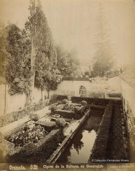 Granada, Generalife, ciprés de la Sultana. Señán y González.