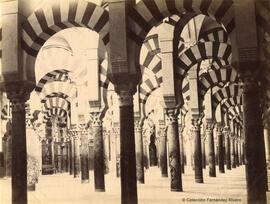 Córdoba, Mezquita, bosque de columnas. Tomás Molina.
