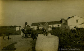Málaga, un grupo de campesinos con sus cabras en el exterior de un cortijo. Fotógrafo desconocido