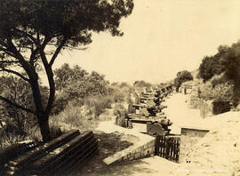 Gibraltar, Jardines de la Batería. Fotógrafo desconocido.