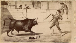 Cádiz, reproducción de un dibujo de una corrida de toros, suerte de banderillas. Rafael Rocafull.
