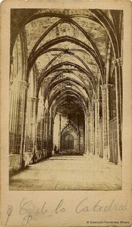 Barcelona, Claustro de la Catedral. Martí.