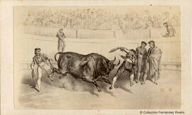 España, reproducción de un dibujo de una corrida de toros, suerte de banderillas. Fotógrafo desconocido.