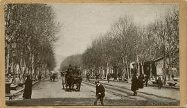 Barcelona, Paseo de Gracia, ensanche. Fotógrafo desconocido.
