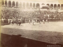 Sevilla, plaza de toros de la Maestranza durante una corrida, suerte de varas y cuadrilla. Fotógrafo desconocido.
