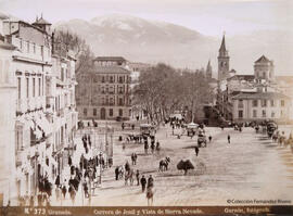 Granada, Carrera del Genil y vista de Sierra Nevada. Garzón.