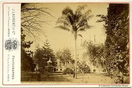 Sevilla, Palacio de San Telmo desde los jardines. J. Laurent.