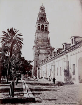 Córdoba. Patio de los Naranjos y torre de la Catedral. Fotógrafo desconocido.