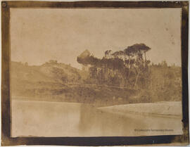 Francia, paisaje rural, pinar junto a un río o lago. Alphonse Davanne.