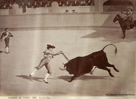 Pintura de autor desconocido. Suerte de Banderillas en una corrida de toros. J. Laurent y Cia.