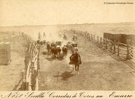 Sevilla, un encierro de toros en el campo. E. Beauchy.