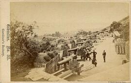 Gibraltar, jardines de la Batería. James Mann.