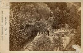 Gibraltar, jardín en la Alameda, estanque ornamental. James Mann.