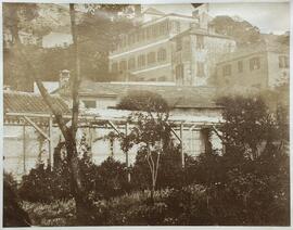 Gibraltar, jardín o huerto y casas en ladera. Fotógrafo desconocido.
