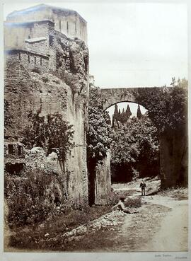 Granada, Alhambra, Torre del Agua y Acueducto. Clifford.