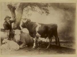 Sevilla, reproducción de un óleo representando a un pastor con vacas y ovejas. Fotógrafo desconocido.