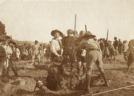 Málaga, plantación de árboles en el día del árbol por los boy scouts en un lugar indeterminado. Fotógrafo desconocido.