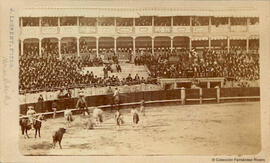 Madrid, plaza de toros durante una corrida. J. Laurent.