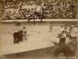 La Línea (Cádiz), plaza de toros durante una corrida, suerte de capa . Fotógrafo desconocido.