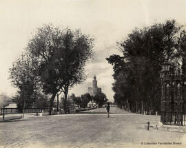 Sevilla, Paseo de las Delicias y Torre del Oro. Francis Frith & Co.