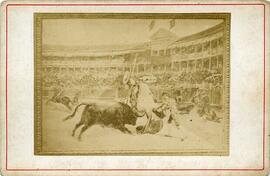 Sevilla, reproducción de un óleo con un toro y un picador durante una corrida de toros. Fotógrafo desconocido.