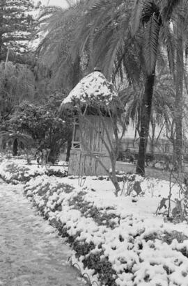 Málaga nevada. El Parque. Febrero de 1954. España-06