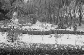 Málaga nevada. El Parque. Febrero de 1954. España-03