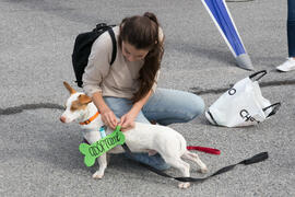 Campaña "Adóptame", de la Sociedad Protectora de Animales y Plantas. II Día del Estudia...