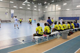 Partido China Taipei - Rusia. Categoría masculina. Campeonato del Mundo Universitario de Balonmano. Antequera. Junio de 2016